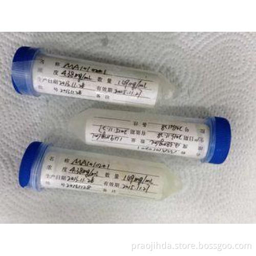 Custom IgG Rabbit Polyclonal Antibody Liquid For IVD Resear